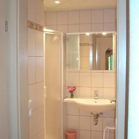 莫泽住宿加早餐旅馆 *