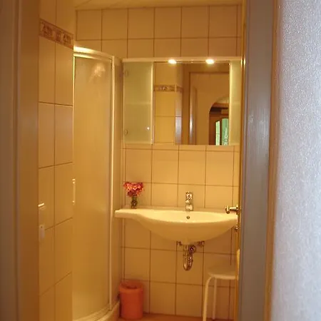 莫泽住宿加早餐旅馆 Ramingstein