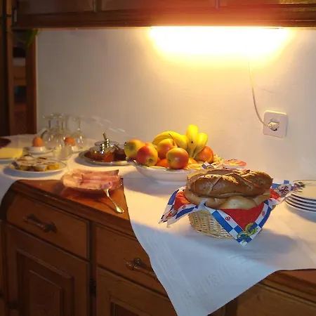 莫泽住宿加早餐旅馆 Ramingstein