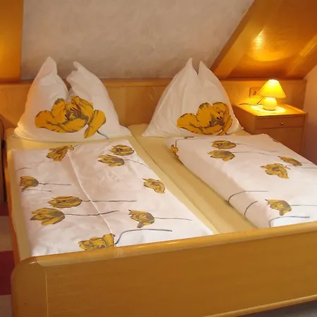 莫泽住宿加早餐旅馆 Ramingstein