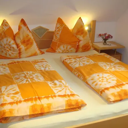 莫泽住宿加早餐旅馆 Ramingstein