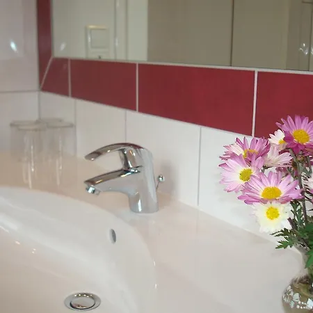 Gaestehaus Moser Ramingstein